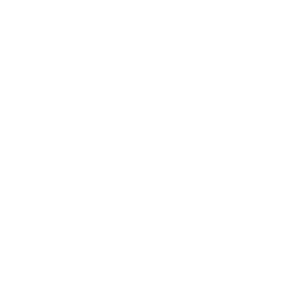 bluenose inn bar harbor hotel logo
