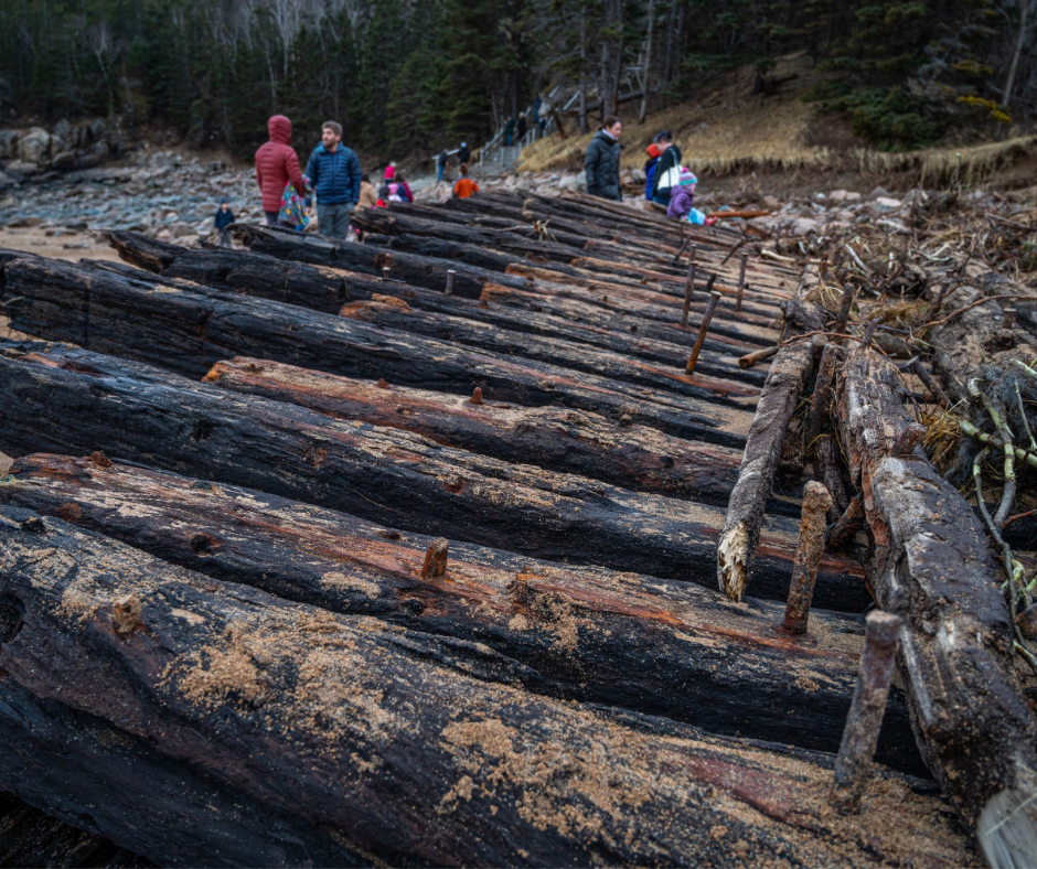 Photo of ship visitors viewing shipwreck remains.