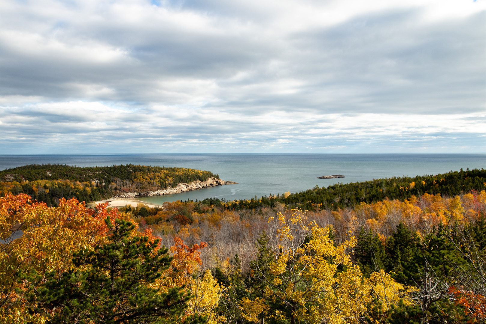 Fall Foliage in Acadia National Park Overlooking the Atlantic